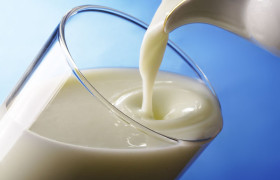 Молоко улучшит память