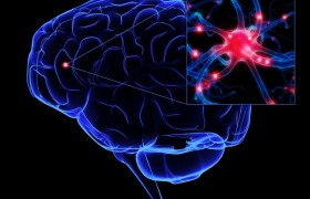 Обнаружены нейроны вызывающие депрессию