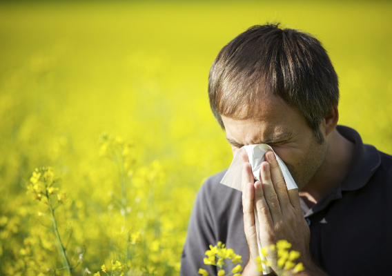Аллергический ринит: виды, симптомы и лечение
