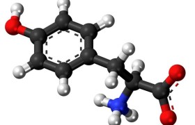 L-Тирозин защитит щитовидку и нервы