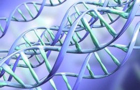 Найден новый способ лечения детской эпилепсии