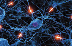 Витамины помогут укрепить нервную систему