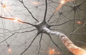 Ученые смогли вылечить боковой амиотрофический склероз