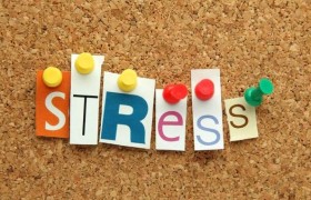 Самые эффективные способы лечения стресса