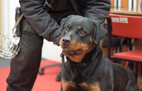 ФСКН и прокуратура совместно проверяют школьников на наркотики