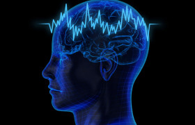 Работой мозга сможет управлять ультразвук