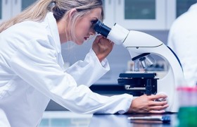 Пробиотики помогут вылечить стресс