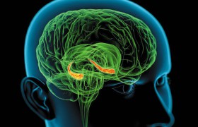 Синтетический эстроген защитит женщин от шизофрении