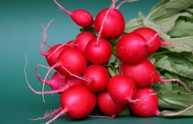 Редиска способна вылечить алкоголизм
