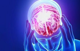 Особенности мозга влияют на тягу к острым блюдам