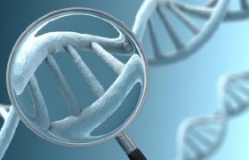 Обнаружены мутации в генах, которые увеличивают риск развития шизофрении
