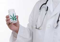 Власти ФРГ легализовали медицинскую марихуану