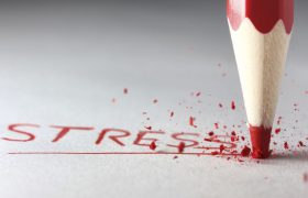 Стресс положительно влияет на работу мозга