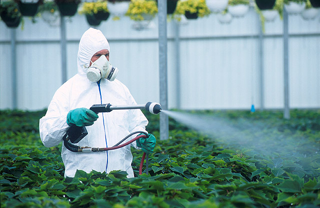 Пестициды ухудшают состояние нервной системы