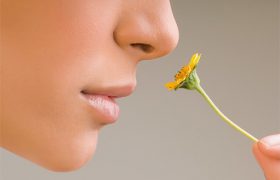 Болезнь Альцгеймера диагностируют по способности различать запахи