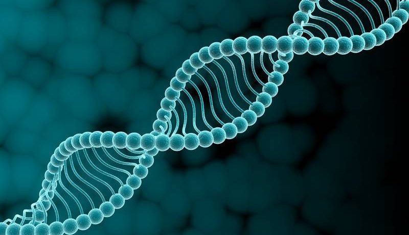 Ученые обнаружили редкие генетические мутации, связанные с шизофренией