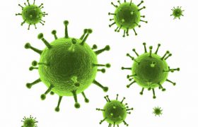 Ротавирус — вирусная кишечная инфекция