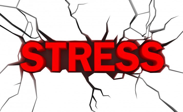 Стрессовая работа повышает риск возникновения рака груди