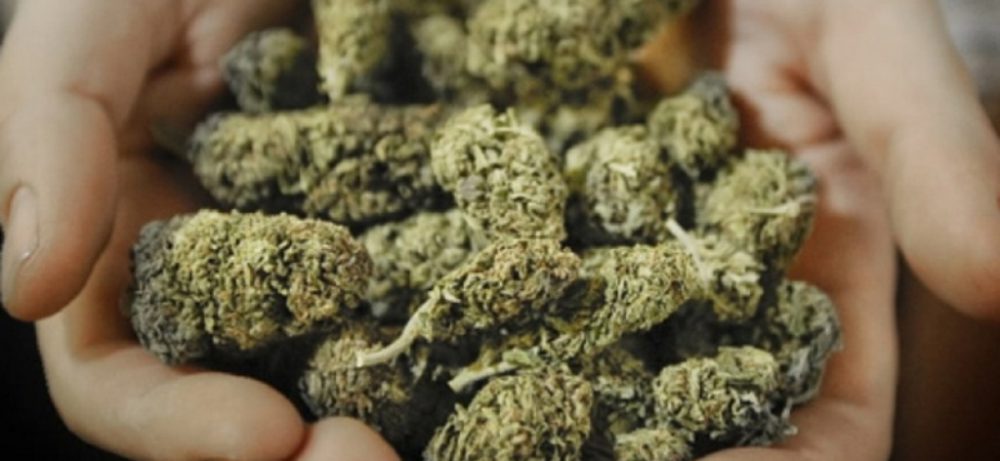Израиль сделал ставку на медицинскую марихуану