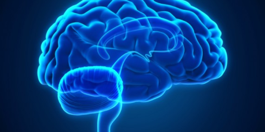 Ученые рассказали о влиянии на мозг многозадачности