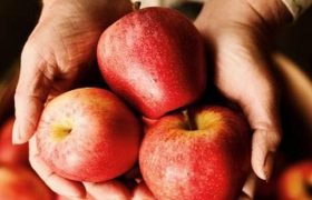 Почему нужно обязательно есть яблоки