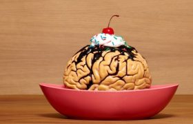 Ученые обнаружили в желудке человека отдельный мозг