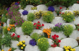 Ландшафтный дизайн цветов