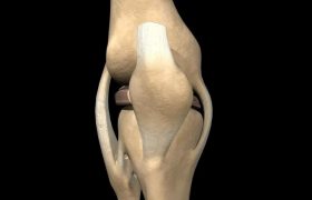 Почему болят, опухают или хрустят колени? Как правильно лечить проблемы с коленями