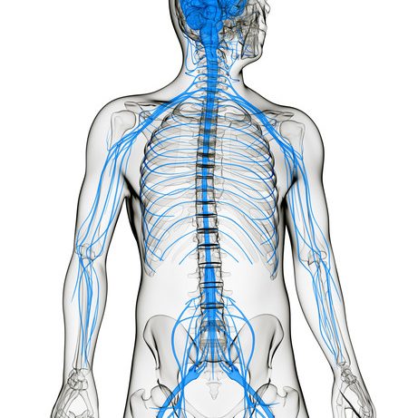 Для чего делают пункцию спинного мозга и больно ли это?