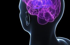 5 советов нейробиолога: Чем заменить таблетки для улучшения работы мозга