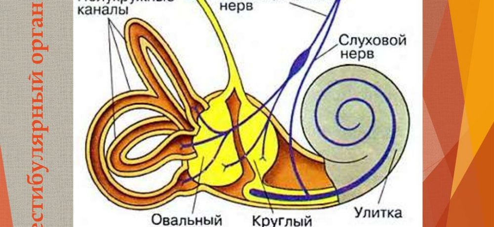 Вестибулярный нейронит