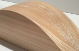 Подушка Мейрама – как применять при грыже позвоночника и сколиозе?