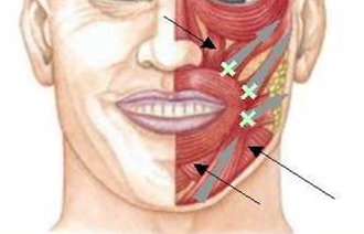 Почему дергается нижняя губа: ищем причину
