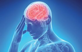 Атеросклероз сосудов головного мозга — симптомы, лечение, профилактика