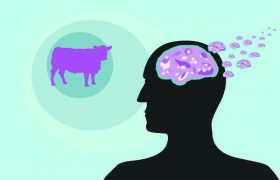 Болезнь Крейтцфельдта — Якоба