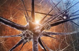 Воспаление нерва, или как вылечить неврит