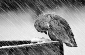 Что такое депрессия и как она отличается у мужчин, женщин и детей