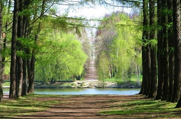 Загадочный Тимирязевский Парк: история и особенности