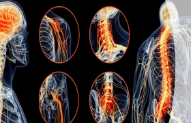 Поражения периферической нервной системы: когда тело «теряет связь» с мозгом
